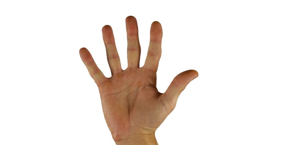 A palm facing hand