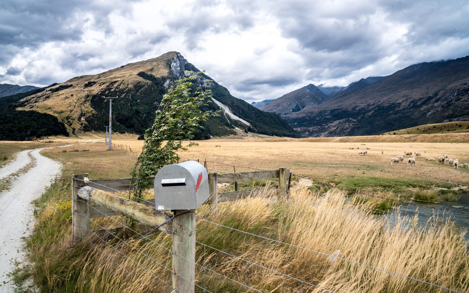 Rural Colorado - Common Law Marriage