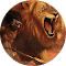 HD